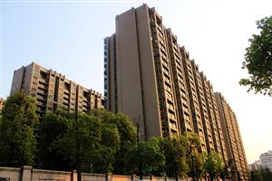 栢寶龍軒